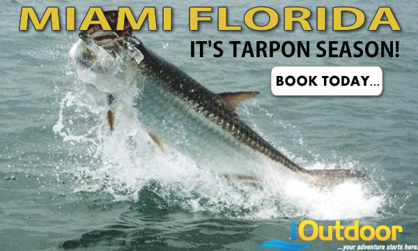 Tarpon Fishing Miami