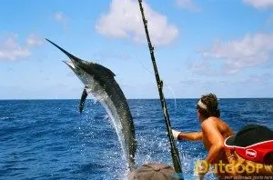 %Fishing Charters%