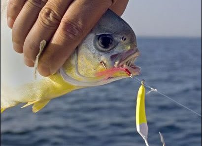 What is deep jigging?