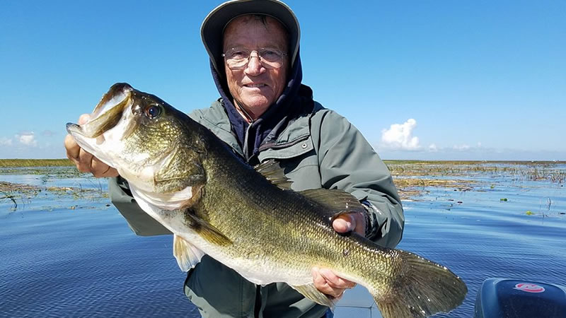 Big Bass Fishing Season on Lake Okeechobee in Clewiston, Florida
