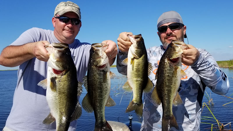 Lake Port Bass Fishing