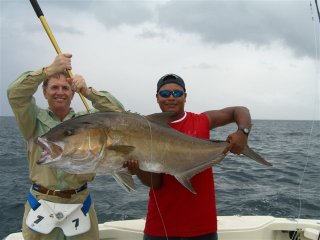 What is AMBERJACK FISH?