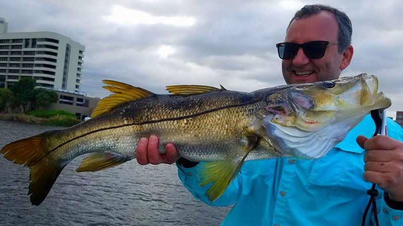 Miami Freshwater Snook Fishing While Visiting South Florida