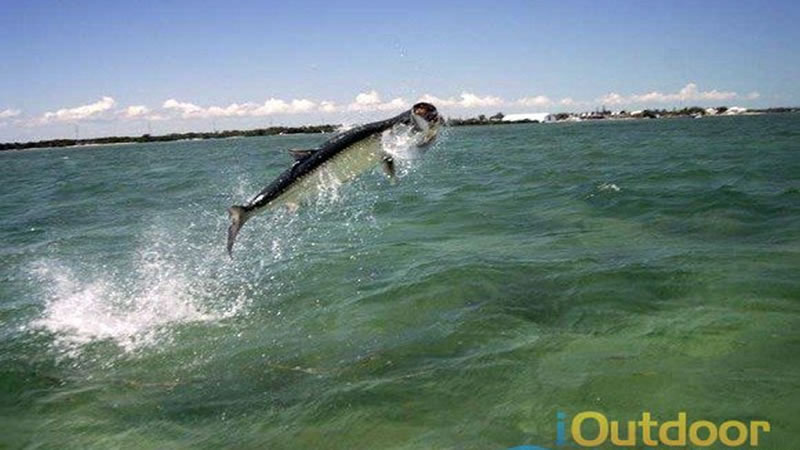 Ultimate South Florida Fishing Adventure with iOutdoor