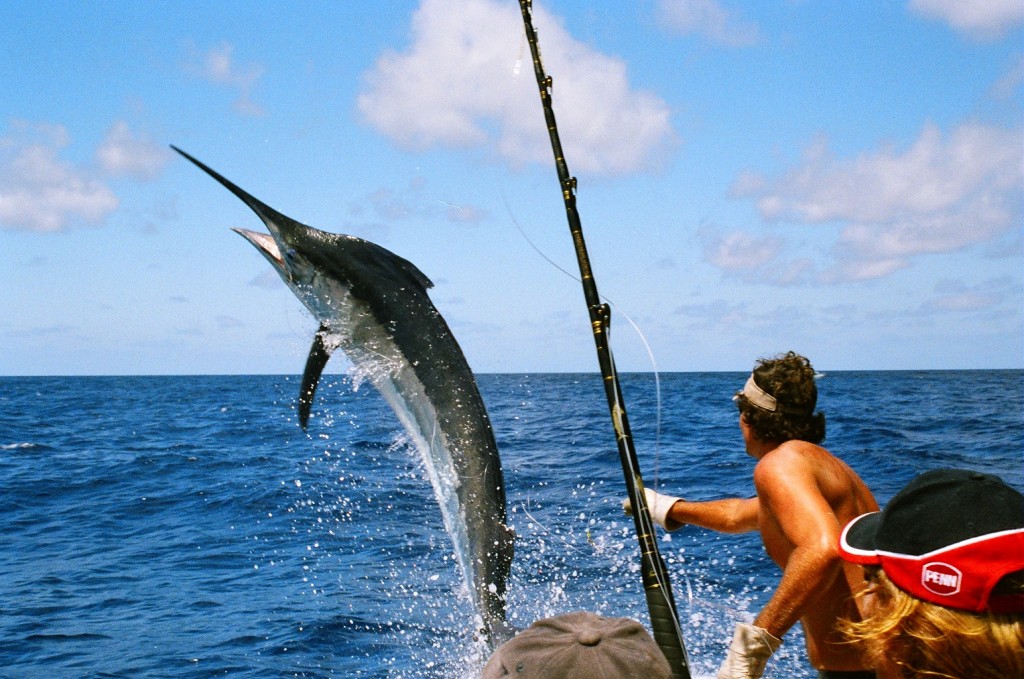 Ft Lauderdale Fishing Charters