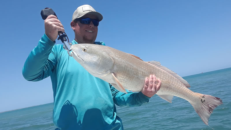 Port Canaveral Fishing for Florida Redfish and Snook