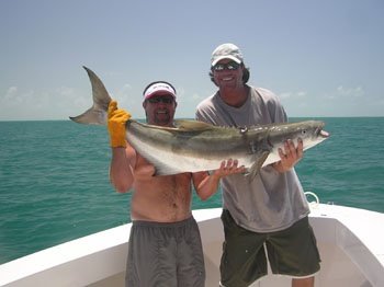 CAPE CANAVERAL DEEP SEA FISHING for COBIA