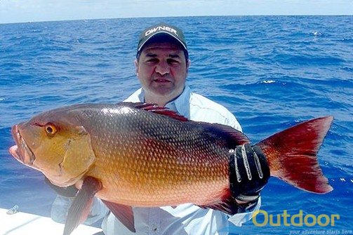 How many different types of SNAPPER in Florida waters?