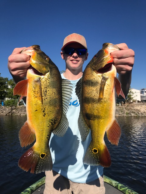 Naples Peacock Bass Fishing Trip
