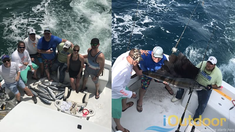 Miami Pelagic Fishing Charter out of Bayside Marina