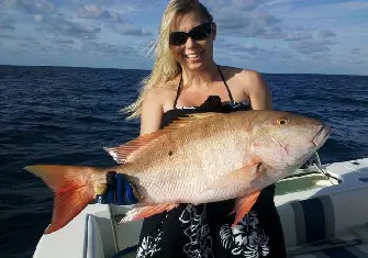 %Fishing Charters%
