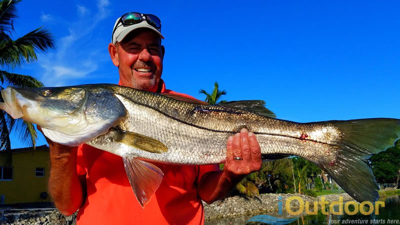 South Florida Freshwater Snook Fishing Charters with Local Experts