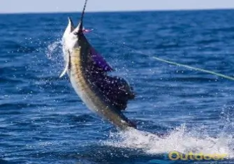 Cape Canaveral Offshore Fishing