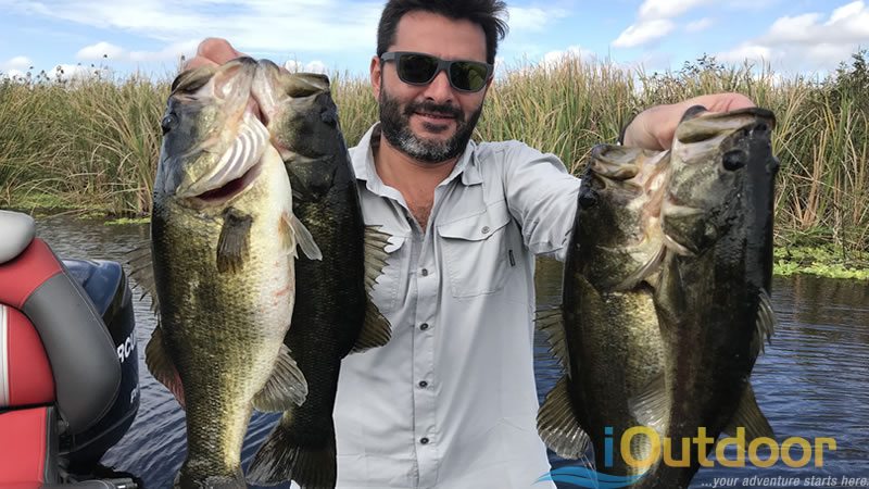 Florida Everglades Fishing Experience for Largemouth Bass