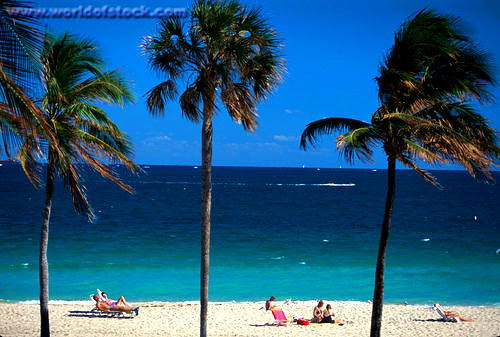 Deep Sea Fishing Fort Lauderdale