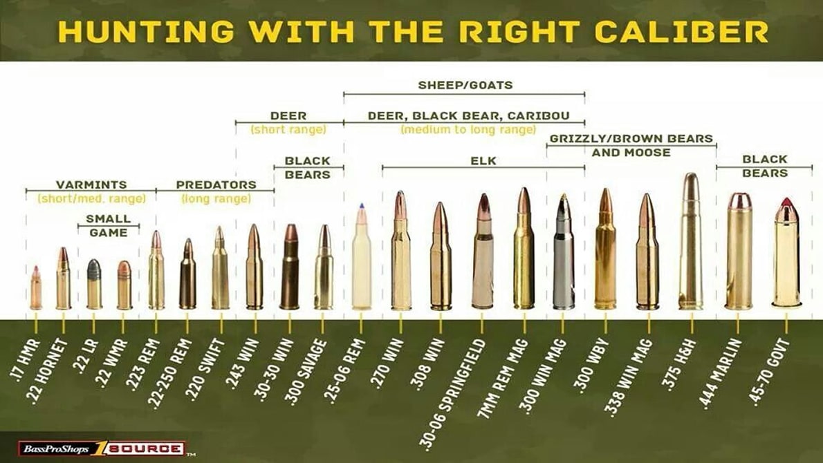Hunt Deer with the Right Calibers