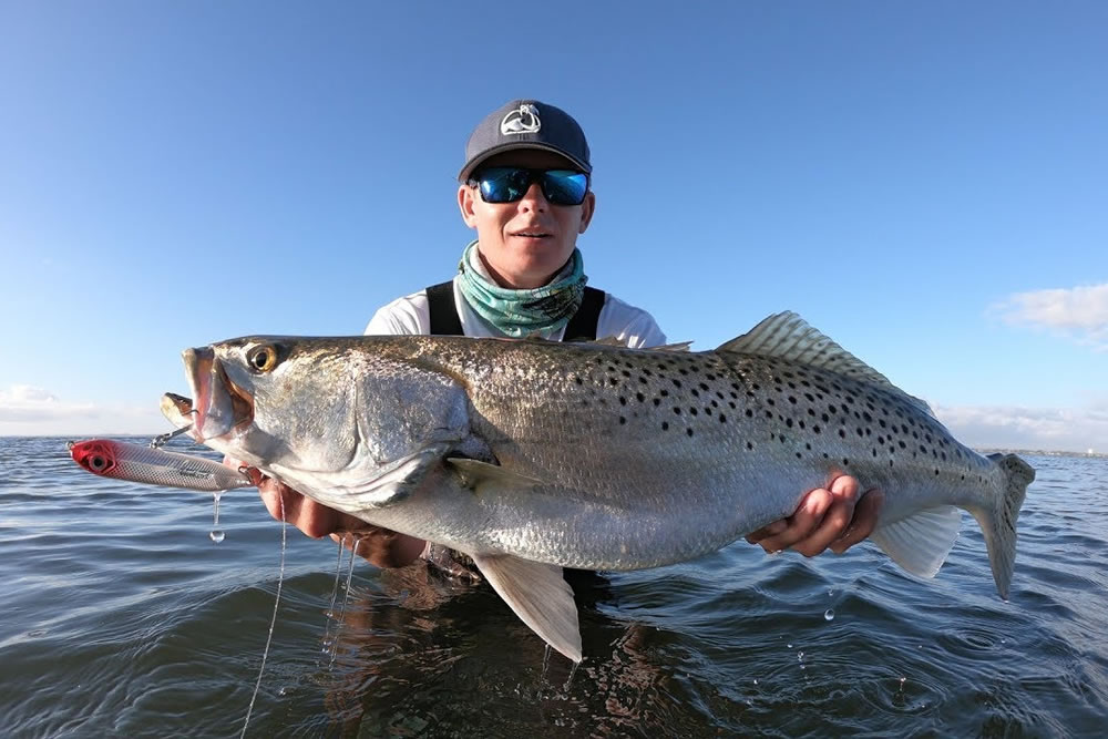 How to Catch Speckled Sea Trout -Tips and techniques to Tackle Sea Trout