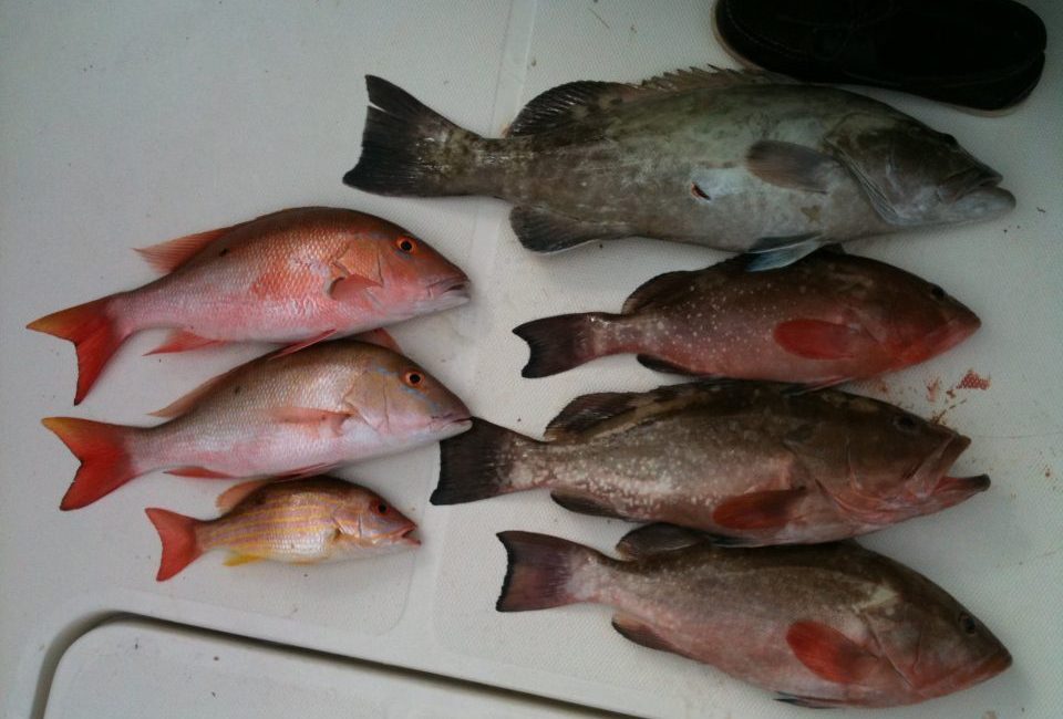%Fishing Charters%