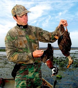 ducks Ducks in Florida