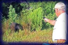 Florida Hogs