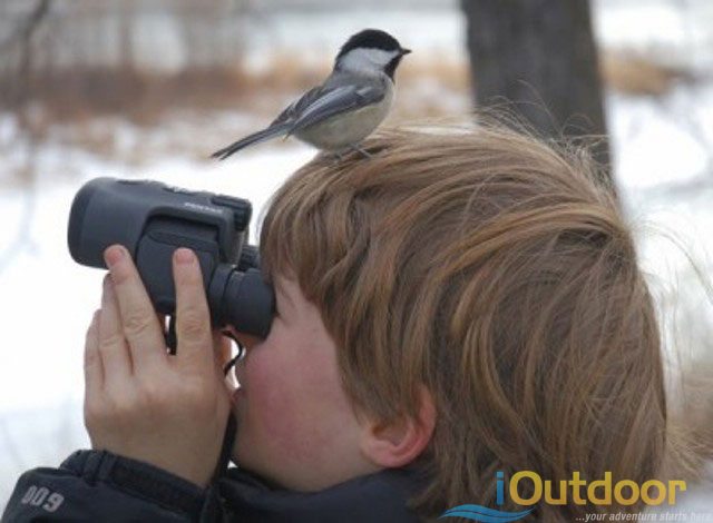Finding BIRDS!