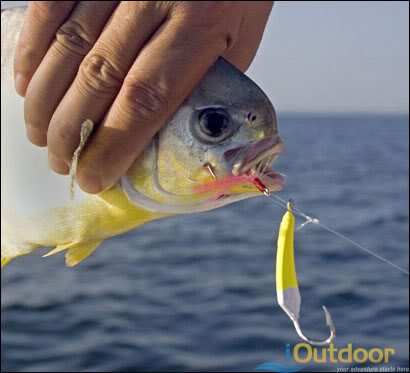 Top 5 most popular jigs for saltwater