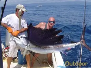 %Fishing Charters%