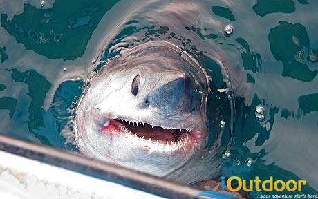 The Keys is the place to fish in Florida
